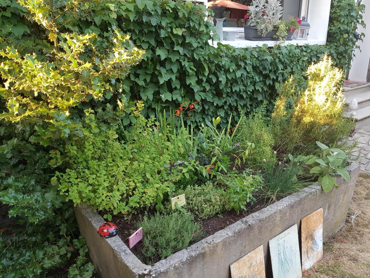 Bed and Breakfast L'Escarbotine Friville-Escarbotin Zewnętrze zdjęcie